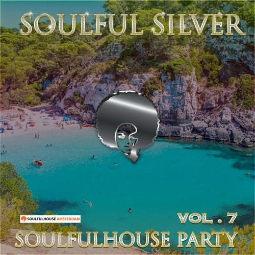Soulfulhouse Party, Vol. 7