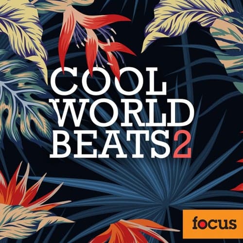 Cool World Beats, Vol. 2