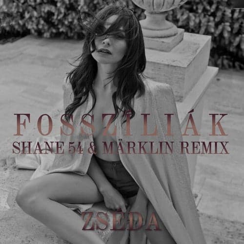 Fosszíliák (Shane 54 & Märklin Remix)