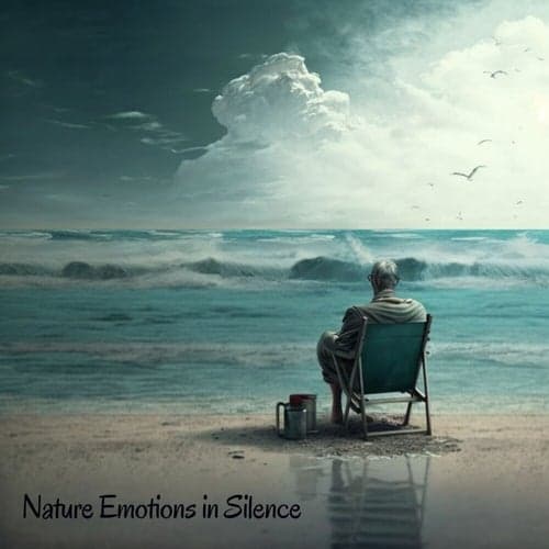 Nature Emotions in Silence