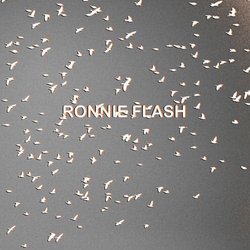 Ronnie Flash