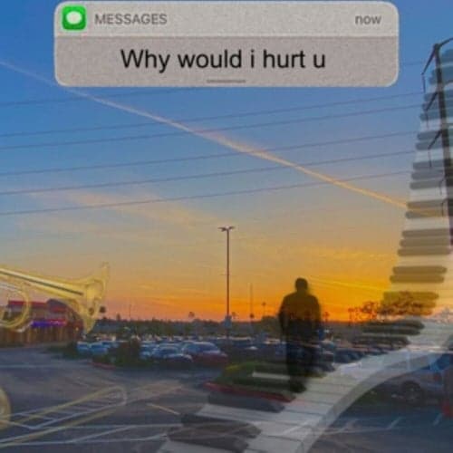 why would i hurt u