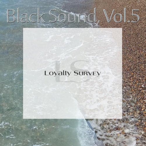 Black Sound, Vol.5