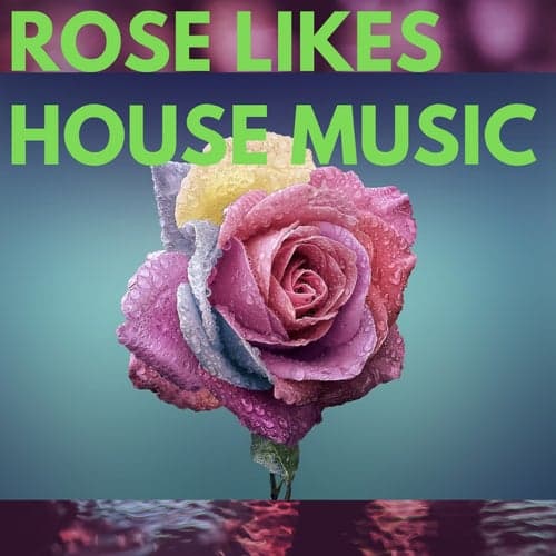 Rose Likes House Music