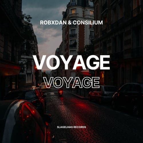 Voyage Voyage (Techno Remix)