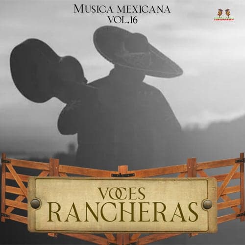 Musica Mexicana Vol. 16