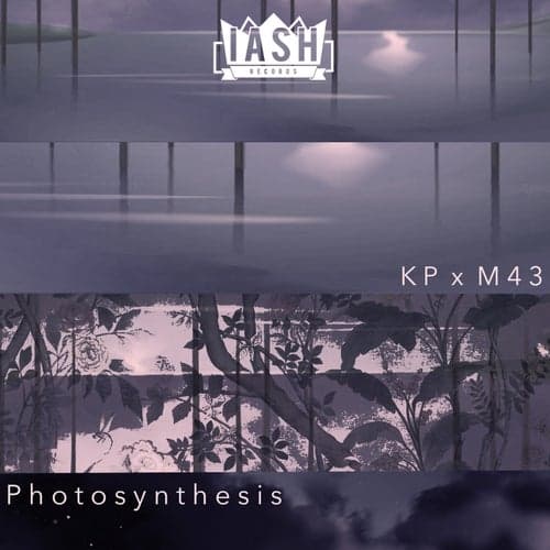Photosynthesis (feat. M43)