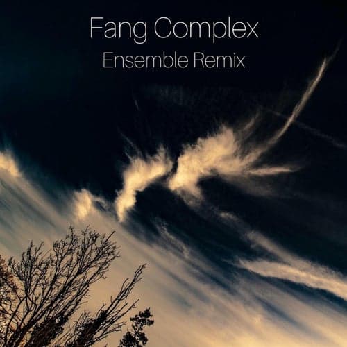 Ensemble Remix