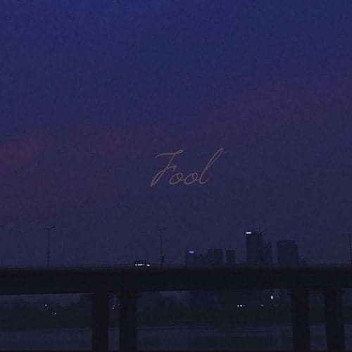Fool (feat. Bradystreet)