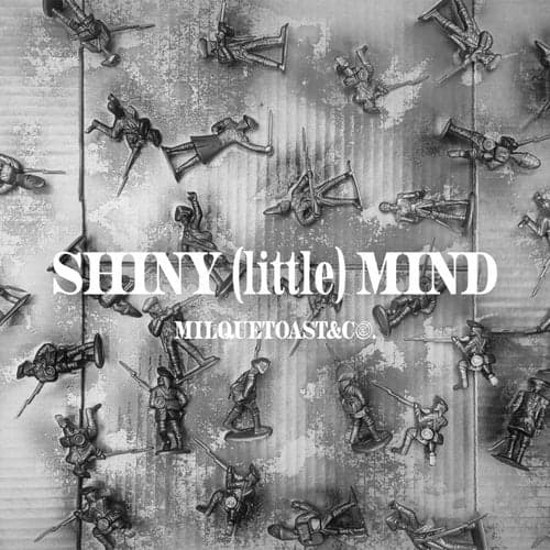 Shiny (little) Mind