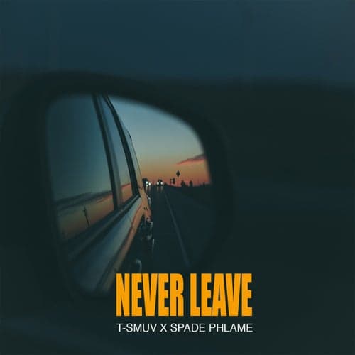 Never Leave (feat. Spade Phlame)