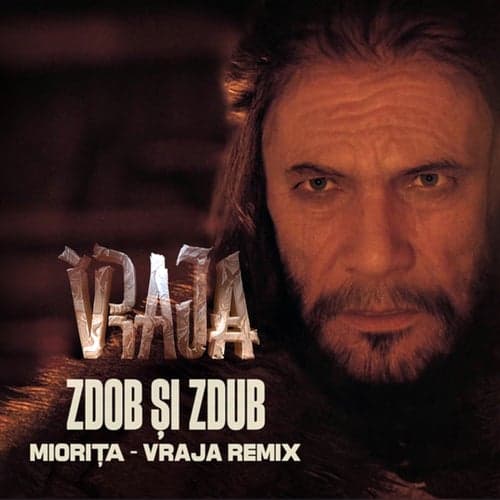 Miorița (VRAJA Remix)