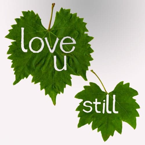 Love U Still