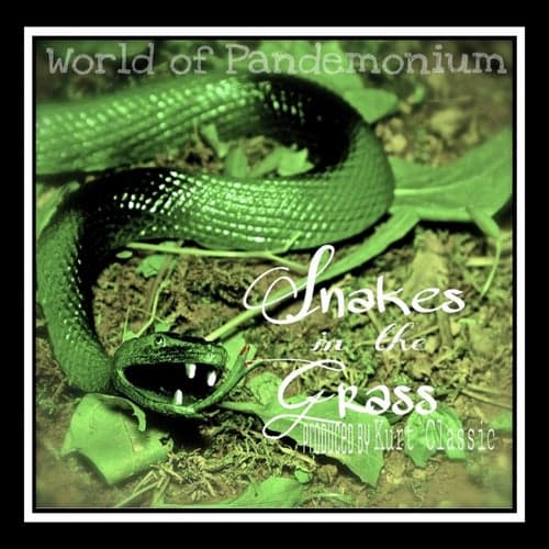 Snakes in the Grass - Single