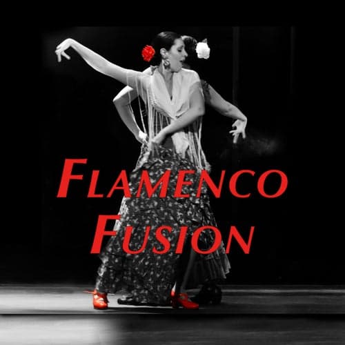 Flamenco Fusion