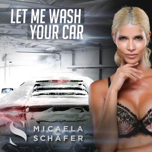 Let Me Wash Your Car