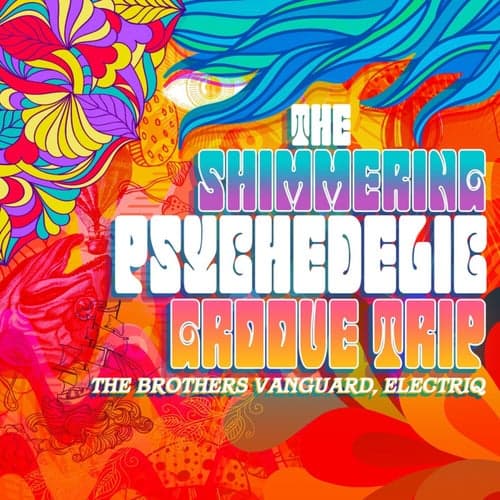 The Shimmering Psychedelic Groove Trip (The Brothers Vanguard, Electriq)