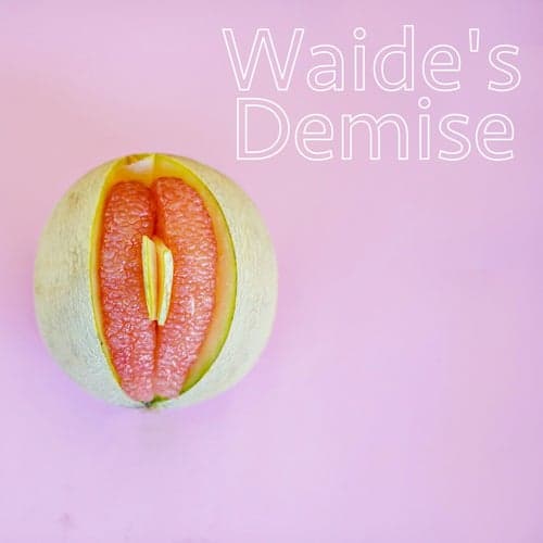 Waide's Demise