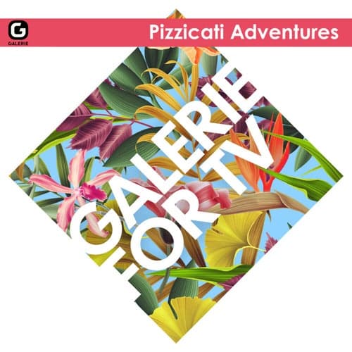 Galerie for TV - Pizzicati Adventures