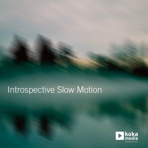 Introspective Slow Motion