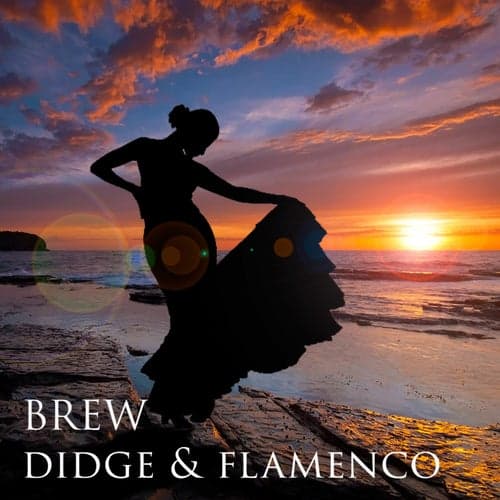 Brew Didge & Flamenco