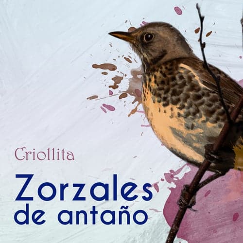 Zorzales de Antaño… Criollita