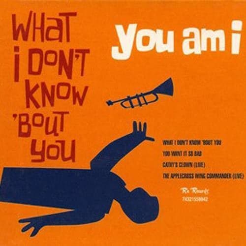 What I Don't Know 'Bout You