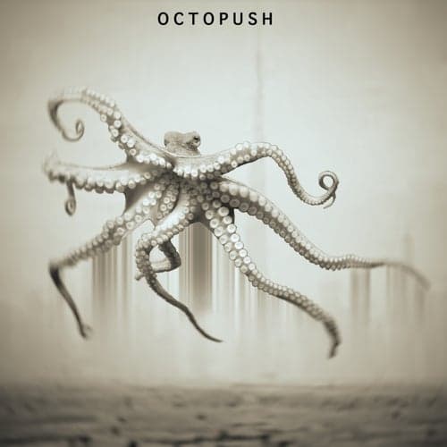 Octopush