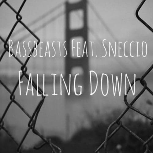 Falling Down (feat. SNECCIO)