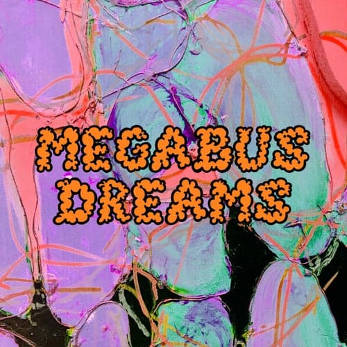 Megabus Dreams