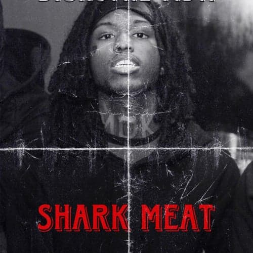 Shark Meat