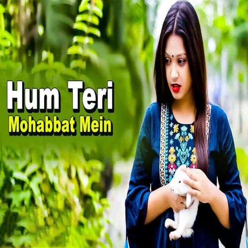 Hum Teri Mohabbat Mein
