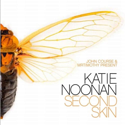 John Course & MrTimothy Present Second Skin, The Katie Noonan Remix Album