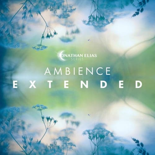 Ambience Extended