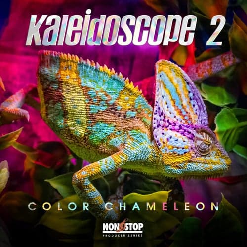 Kaleidoscope 2: Color Chameleon