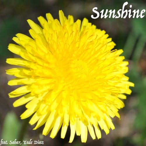 Sunshine (feat. Sahar & Yade Diaz)