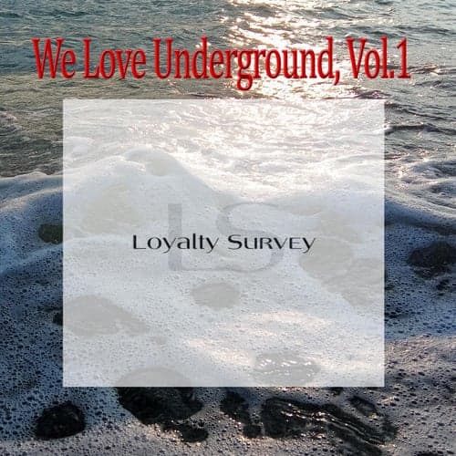 We Love Underground, Vol.1