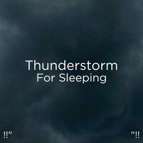 !!" Thunderstorm For Sleeping "!!