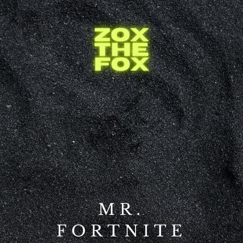 Mr. Fortnite