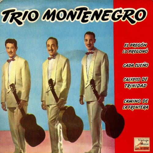 Vintage México Nº33- EPs Collectors