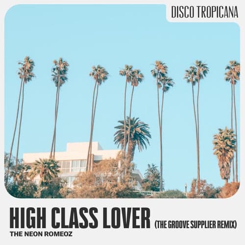 High Class Lover (feat. Jason Peterson DeLaire & St. Paul Peterson) [The Groove Supplier Remix]