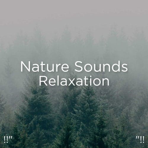 !!" Nature Sounds Relaxation "!!