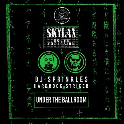 Skylax House Explosion - Under The Ballroom