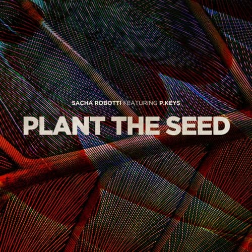 Plant The Seed
