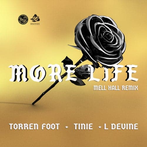 More Life (feat. Tinie Tempah & L Devine) [Mell Hall Remix]