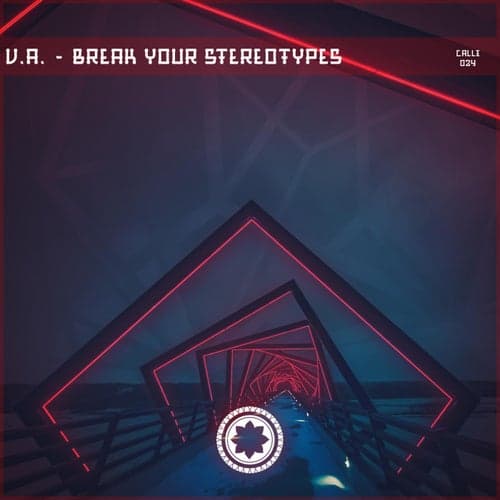 Break Your Stereotypes LP