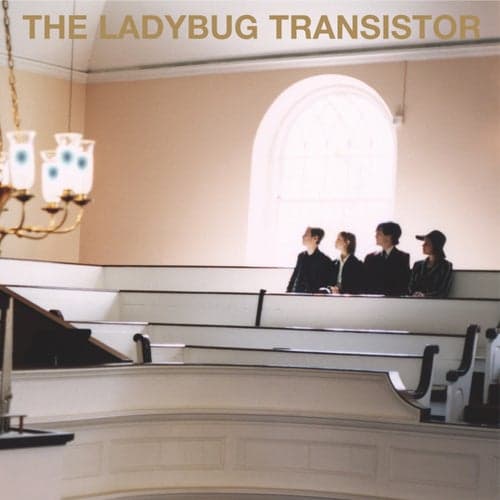 The Ladybug Transistor