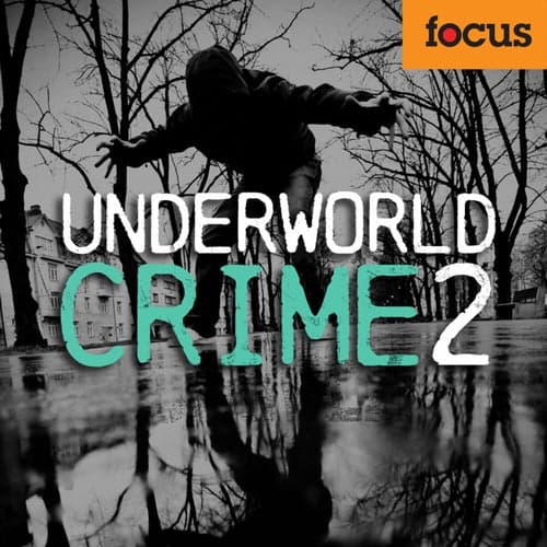 Underworld Crime 2