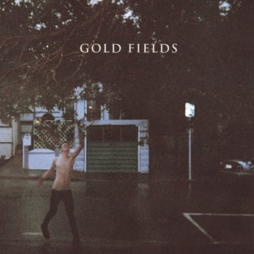 Gold Fields