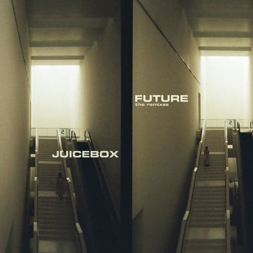 Future (The Remixes)